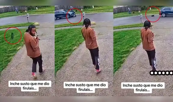 Perrito pasa por debajo de un carro, se salva de milagro y dueño queda en shock: “OMG firulais”