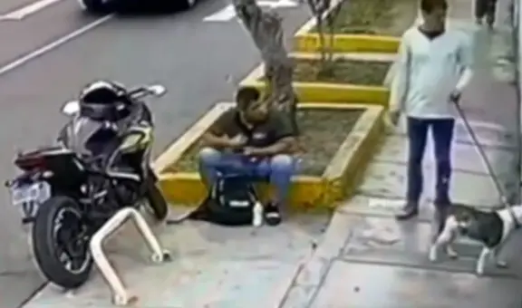 San Miguel: sujeto amarró a cachorro a puerta de veterinaria y lo abandonó