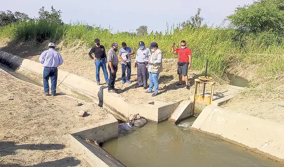 Insumos agrarios se reducirían en 15% en 2024