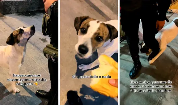Perrito pide 'con respeto' a policía peruano que le dé comida y así reaccionó el oficial
