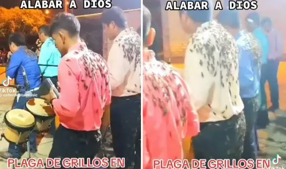 ¡Impactante! Músicos de cumbia tocaron cubiertos de grillos en Piura y se vuelven viral en TikTok