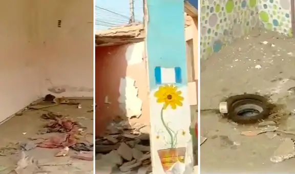 Ventanilla: nido abandonado se ha convertido en el refugio de delincuentes