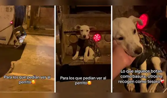 Perrito abandonado en la basura es adoptado por trabajador y conmueve en redes [VIDEO]