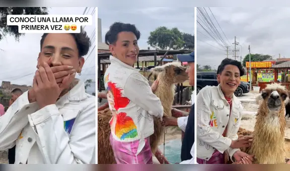 Kunno se emocionó al conocer una llama y peruanos le dijeron: “Te sigo porque te gusta Perú”