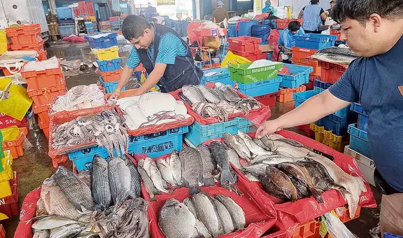 Día del Pescador sin pensiones y a merced del cambio climático
