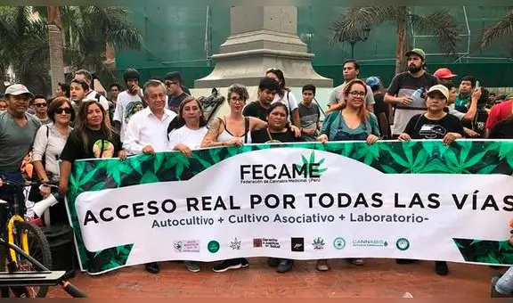 Pacientes de cannabis piden legalizar planta de marihuana por falta de insumos para medicación