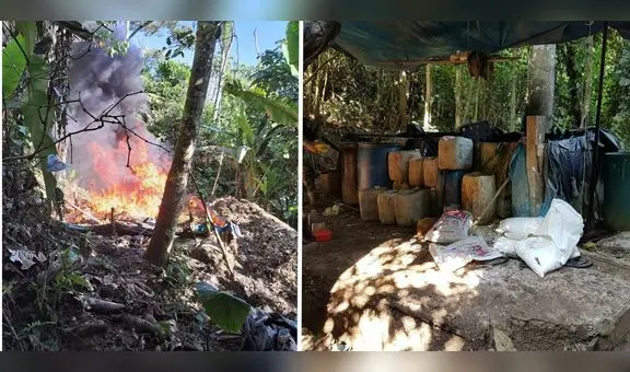 Fuerzas especiales de la Dirandro destruyen 13 narcolaboratorios