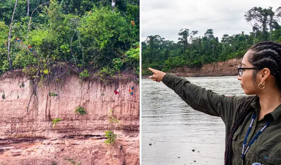 Collpa Chuncho: ¿cómo llegar a estas imponentes murallas naturales en Madre de Dios?