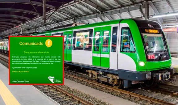 Metro de Lima: Línea 1 reporta demora en trenes por presencia de cachorro en sus vías