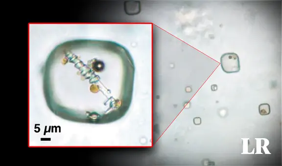 Científicos abrirán un cristal de 830 millones de años con posibles seres vivos en su interior