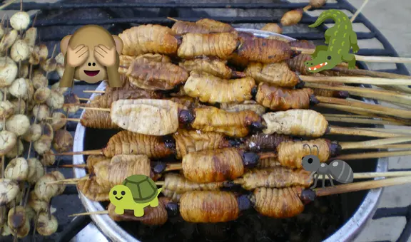 No solo es el suri: ¿qué otros animales exóticos forman parte de la gastronomía peruana?