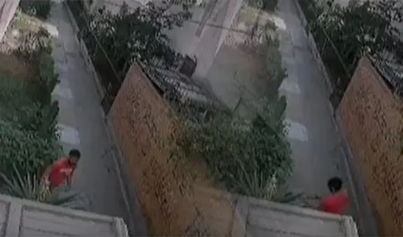 Callao: hombre agredió brutalmente a su mascota cuando la sacaba a pasear