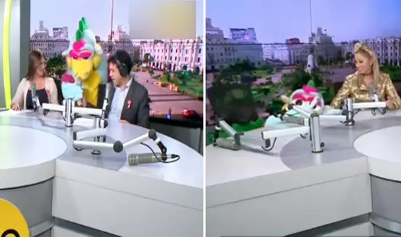 ¡El mal paso de Timoteo!: dragoncito sufre terrible caída durante entrevista en vivo