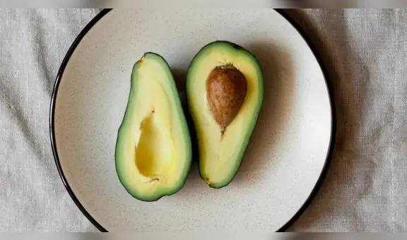 Perú podría empezar a exportar palta Hass a Malasia en los próximos dos meses