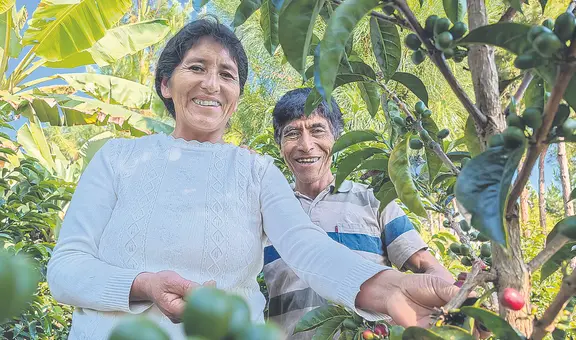 El mejor café del mundo es de Sandia y le pertenece a Vicentina Phocco