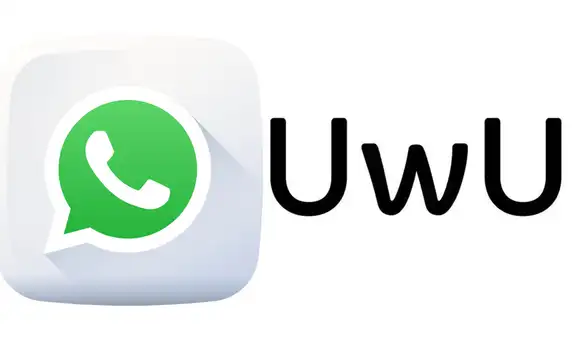 WhatsApp: ¿Qué significa "UwU" y por qué se ha vuelto tan popular en las conversaciones?