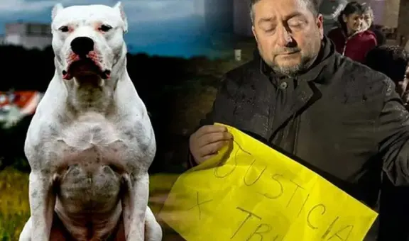 Adolescente muere tras ser atacada por perros dogos que eran "entrenados con pumas"