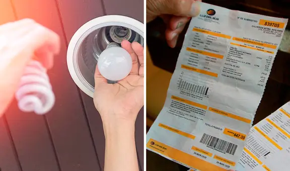 ¿Cuál es el tipo de foco que te permitirá pagar menos en tu recibo de luz?