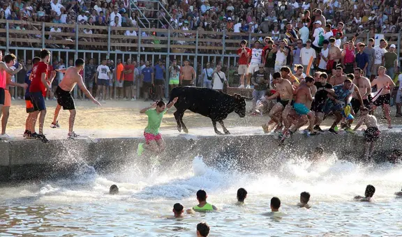 Toro muere ahogado durante festividad taurina: decenas de personas hicieron que cayera al agua