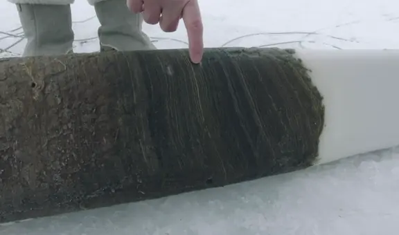 Un impactante descubrimiento revela que ya inició el Antropoceno, la nueva época geológica de la Tierra