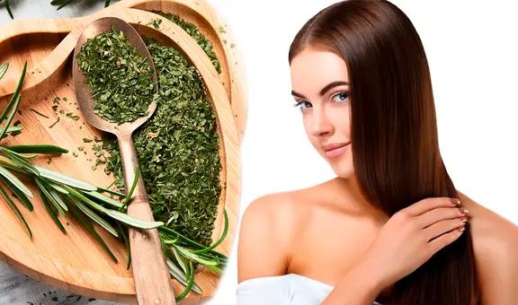 ¡Luce un cabello fuerte y sano! Estos son 10 beneficios del romero para un pelo saludable