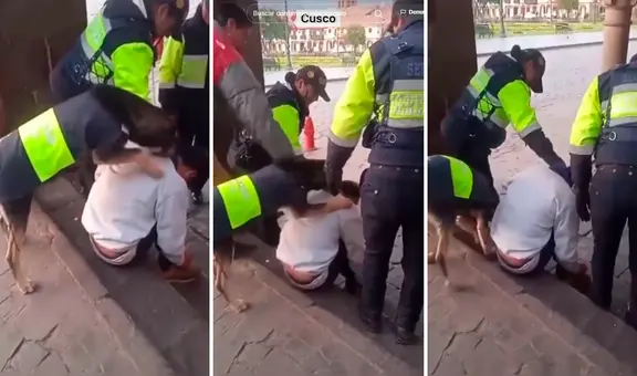 Perro de Serenazgo intenta despertar a hombre dormido en calle del Cusco: “Firualis resguardando la ciudad”