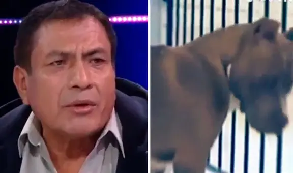 Cañete: piden ayuda para hombre que perdió extremidades tras ser atacado por perros