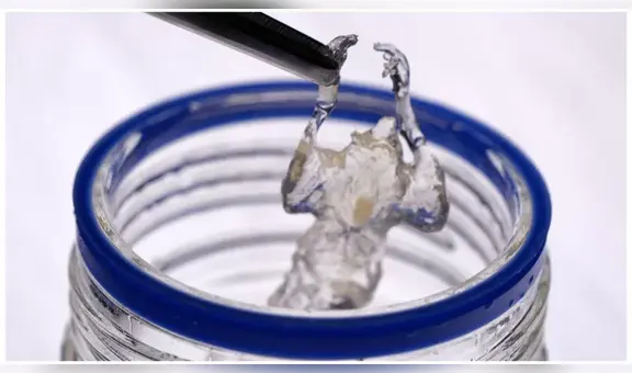 ¿Cómo los ratones transparentes ayudan a mejorar terapias contra el cáncer?