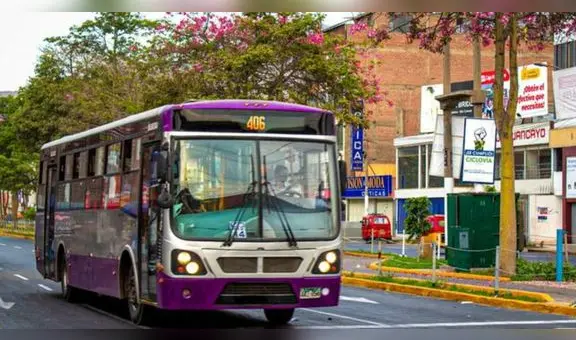 Corredor Morado: ATU anuncia incremento de buses en beneficio de más de 3.600 usuarios al día