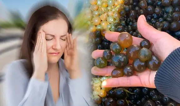 Este ALIMENTO supera en proteínas a la carne y combate la anemia