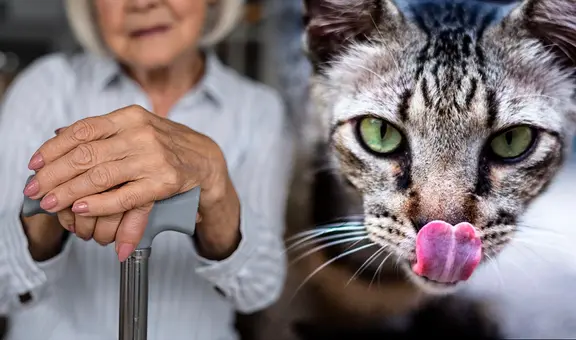 El caso de Clara Tobón: la mujer que fue devorada por sus gatos tras morir en soledad