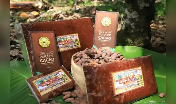Denominación de origen Cacao Amazonas Perú empezaría a exportarse en el último trimestre de este año