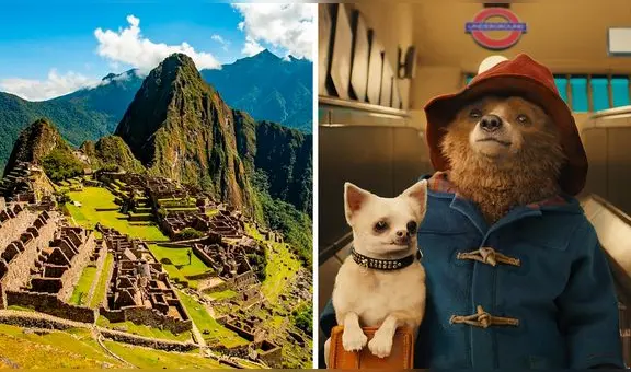 ¡Al estilo "Transformers"!: película "Paddington 3" se grabó en Machu Picchu