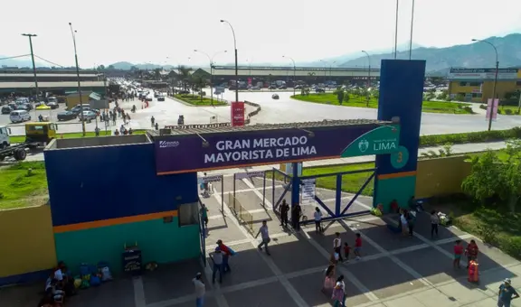 ¿Cómo llegar al Gran Mercado Mayorista de Lima ubicado en Santa Anita?: Mapa y dirección exacta