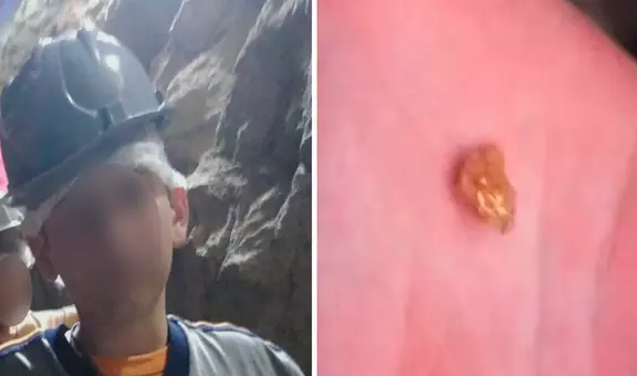 Niño va de excursión a una mina abandonada y encuentra una pepita de oro de 24 quilates: ¿Se volvió rico?