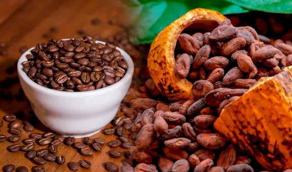 Exportaciones de productos orgánicos de origen peruano superaron los US$628 millones en el 2022