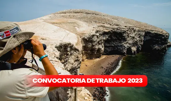 Sernanp brinda trabajos con sueldos de hasta S/8.000: postula AQUÍ