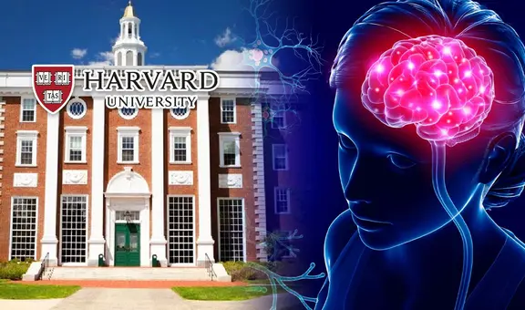 Seis alimentos recomendados para agudizar la memoria, según experta de Harvard