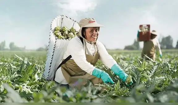 Danper subscribe un crédito sostenible, ratificando su posicionamiento de empresa líder de la agroindustria