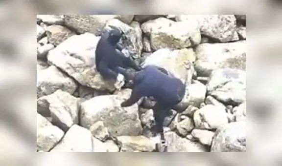 Detienen a sujetos por pescar con explosivos en la Reserva Nacional de Paracas