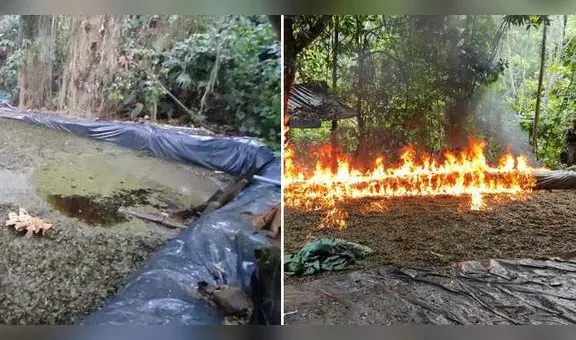 Inician investigaciones tras hallar y destruir 10 laboratorios para elaboración de cocaína en Ayacucho