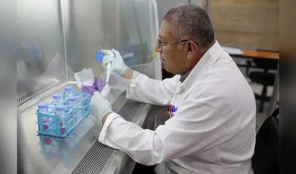 El veneno de serpiente puede frenar el cáncer de mama y leucemia