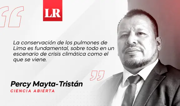 Los pulmones de Lima, por Percy Mayta-Tristán