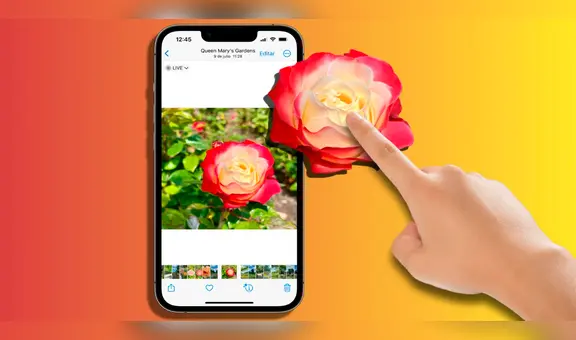 ¿Quieres quitar el fondo de una foto? Este es el sencillo método para hacerlo desde tu iPhone
