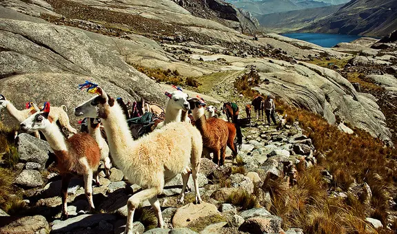 Realistas y patriotas contra Huarochirí