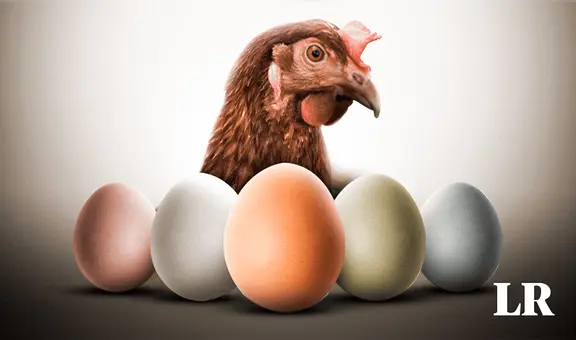 ¿Por qué hay huevos de diferentes colores y qué tipos de gallina los ponen?