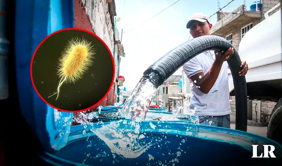 El 25% de hogares peruanos tiene agua contaminada con bacteria E. coli, según estudio