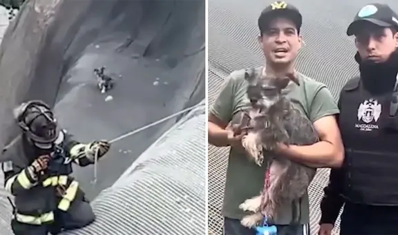 ¡Sana y salva! Rescatan a Nala, perrita que cayó al acantilado de la Costa Verde