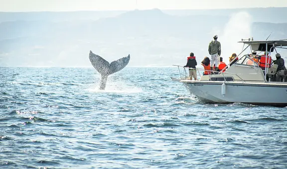 Un millón y medio de peruanos viajarán por Fiestas Patrias