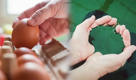 ¿Cuál es el alimento del futuro que podría sustituir al HUEVO en tu dieta?